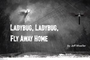 The Things We Leave Behind Ladybug, Ladybug, Fly Away Home (Stygian Fox Publishing)