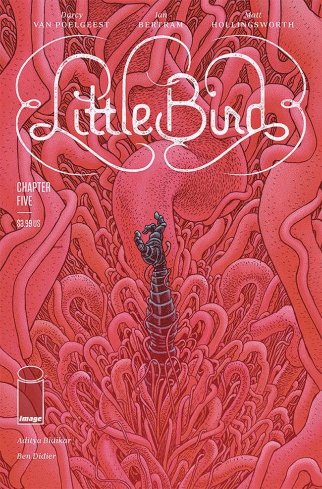 Little Bird #5 (Image Comics)