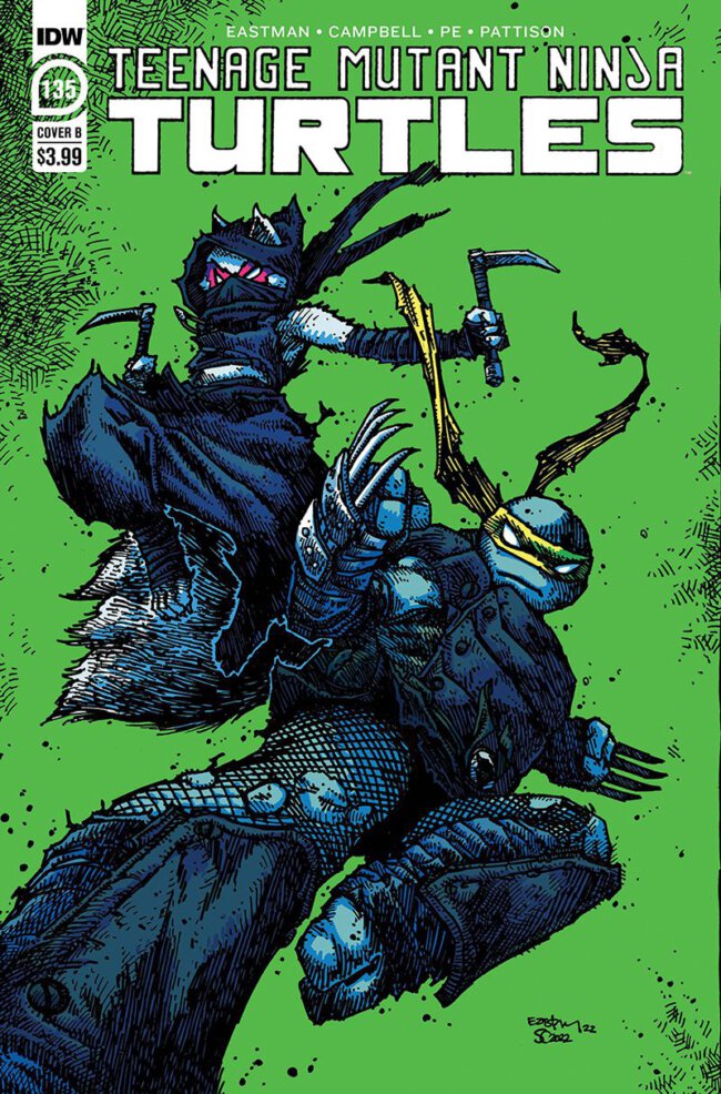Teenage Mutant Ninja Turtles #135 (IDW Publishing)